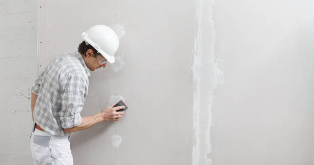 Best Comprehensive Air Testing for Mold Contaminants  in Beech Island, SC