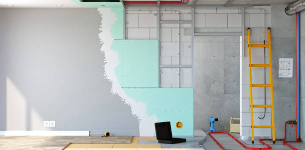  Beech Island, SC Mold Removal Pros