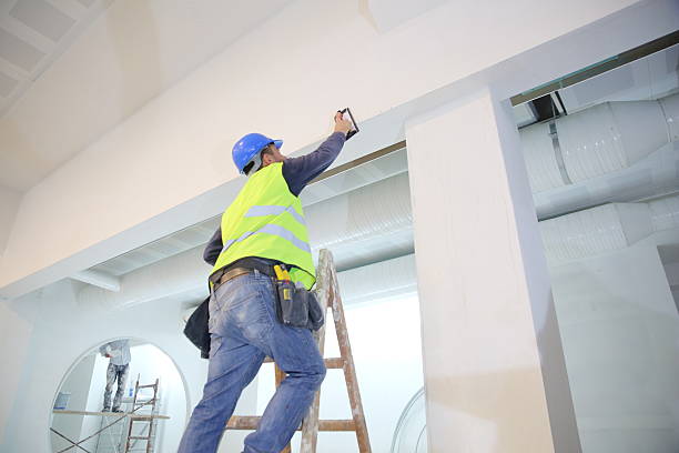 Best Crawl Space Mold Remediation  in Beech Island, SC